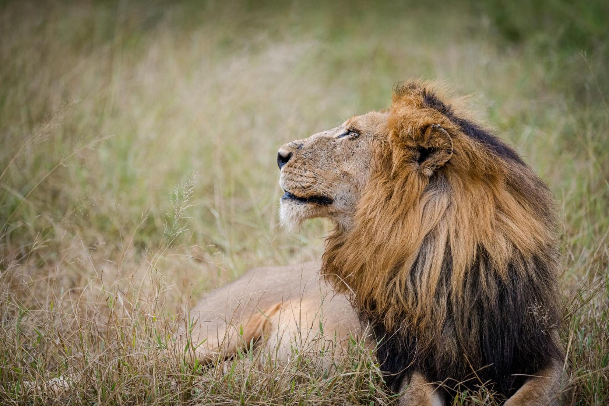 Serondella Safari Lodge محمية ثورنيبوش للطيور البرية المظهر الخارجي الصورة